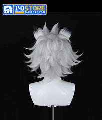 Von Lycaon Cosplay Wig