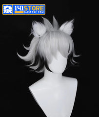 Von Lycaon Cosplay Wig & Ears